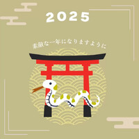 画像244