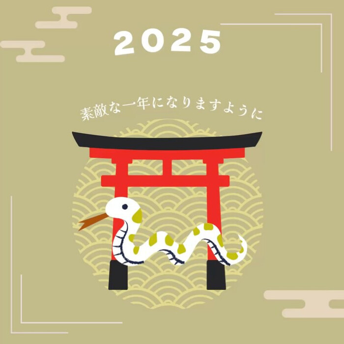 画像244