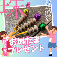 画像407